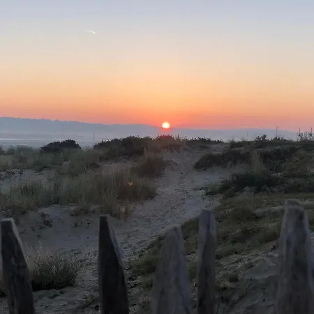 L'oasis * Le Touquet