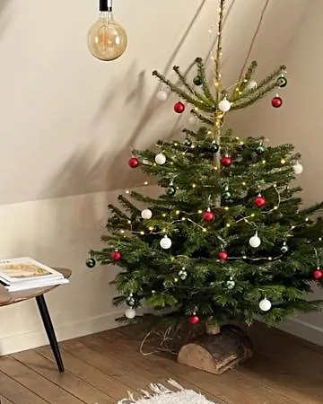 L'oasis Apartamento *