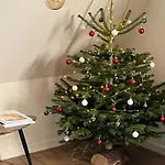 L'oasis Apartment *