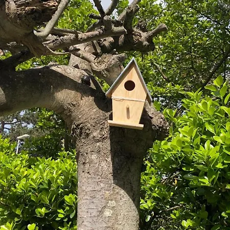 L'oasis * Le Touquet